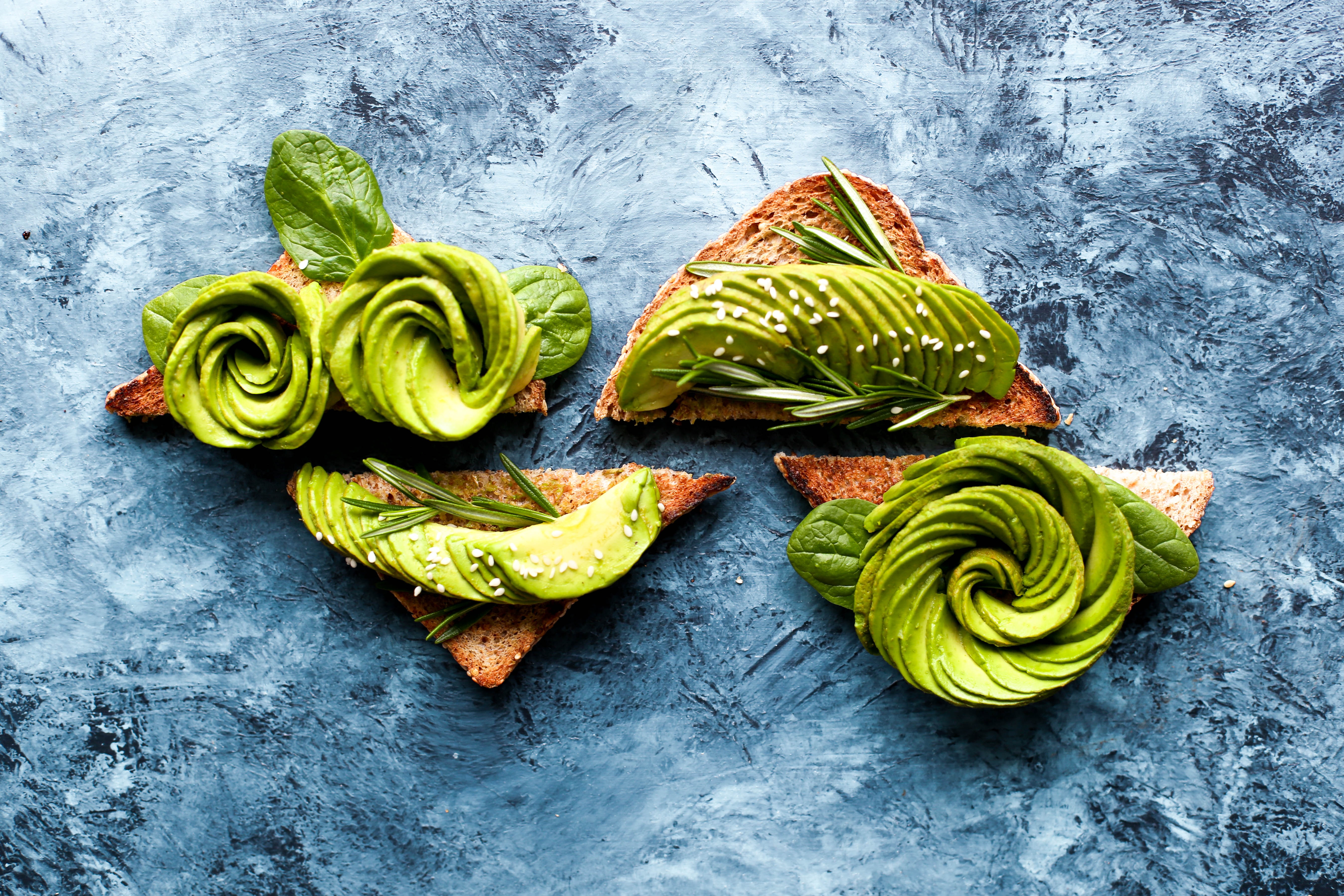 avocado toast art on blue background